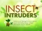 Insect Intruders — free online game