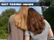 Best Friends Jigsaw — free online game