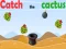 Catch The Cactus — free online game