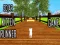 Cutie cat — free online game