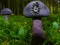 Mushroom Forest Adventure — free online game
