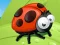 שפּיל Ladybug Slide אָנליין
