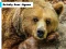 Peli Grizzly Bear Jigsaw verkossa