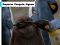 Trò chơi Emperor Penguin Jigsaw trực tuyến