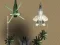 Raptor Combat — free online game