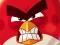 Angry Birds vs Pigs — free online game