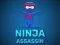 Ninja Assassin — free online game