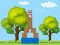 Box Challenge — free online game