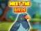 Meet The Birds — free online game