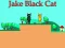 Jake Black Cat — free online game