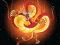 Chinese Dragons Coloring — free online game
