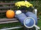 Játék Autumn Garden Find 100 butterflies online