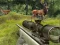Stag Hunt — free online game