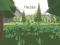 Precision — free online game