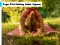 Yoga Stretching Calm Jigsaw — free online game