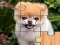 Cute dogs puzzle — free online game