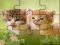 Cute Cats Puzzle — free online game