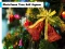 Christmas Tree Bell Jigsaw — free online game