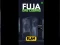 Fuja das Cobras — free online game