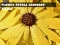 Flower Petals Raindrop Jigsaw — free online game