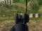 Army Shooter — free online game
