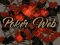 Poker Web — free online game