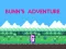 שפּיל Bunn's Adventure אָנליין