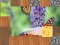 Wash if off — free online game