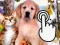 Pets Clicker — free online game