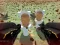 Shooting Survival Skibidi Toilet — free online game