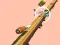 Spiral Rush — free online game