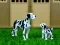 Domestic Animals Jigsaw เกมออนไลน์