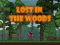 Lost in the Woods — free online game