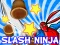 Slash Ninja — free online game