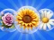 Dice Puzzle Flowers! — free online game