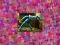 Laro Huggy Wuggy Puzzle online