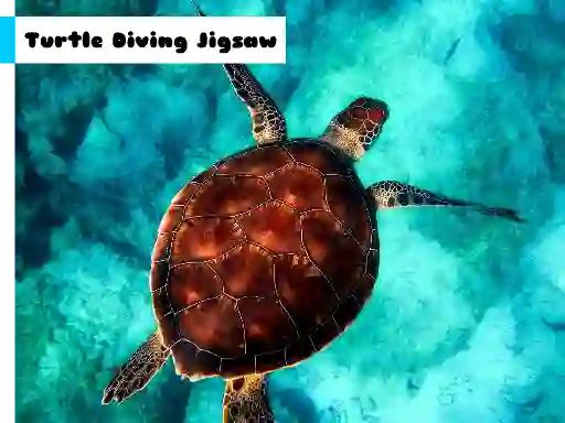 Turtle Diving Jigsaw เกมออนไลน์
