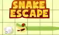 Snake escape — free online game