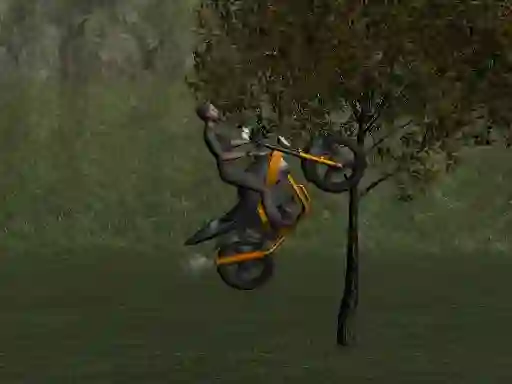 Mountain Bike Rider — free online game