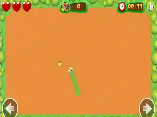 Fruit Snake — free online game