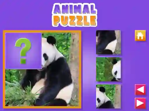 Animal Puzzle เกมออนไลน์