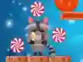 Raccoon Sweet Rush — free online game