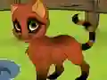 My Kitten