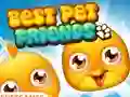 Best Pet Friends
