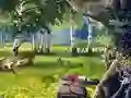 Scout Camp — free online game