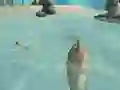 Shark Simulator Beach Killer — free online game