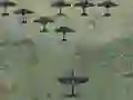 Wings Of Glory — free online game