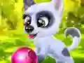 Hra Happy Dog