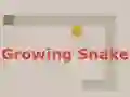 Growing Snake — free online game