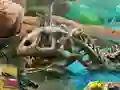 Jurassic Lake — free online game